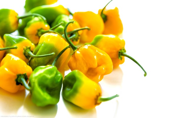 Fotógrafo profesional producto comercial alimentos cancún y riviera maya