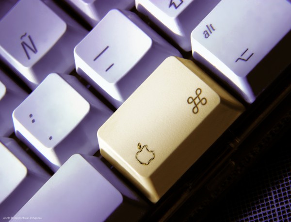 Fotógrafo profesional producto comercial alimentos cancún y riviera maya