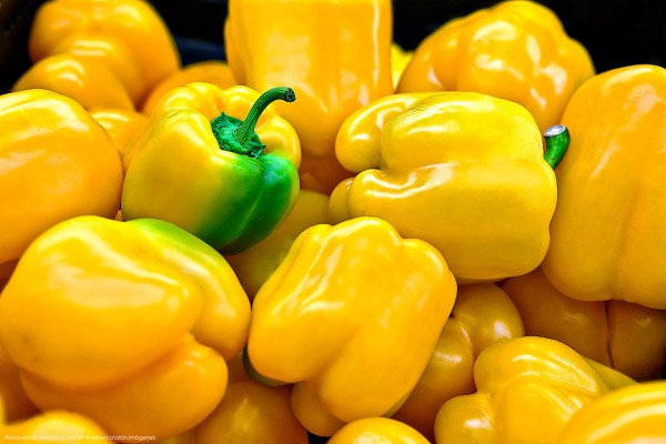 Fotógrafo profesional producto comercial alimentos cancún y riviera maya