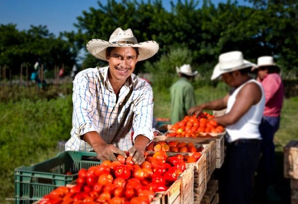 Fotógrafo profesional retrato comercial cancún y riviera maya